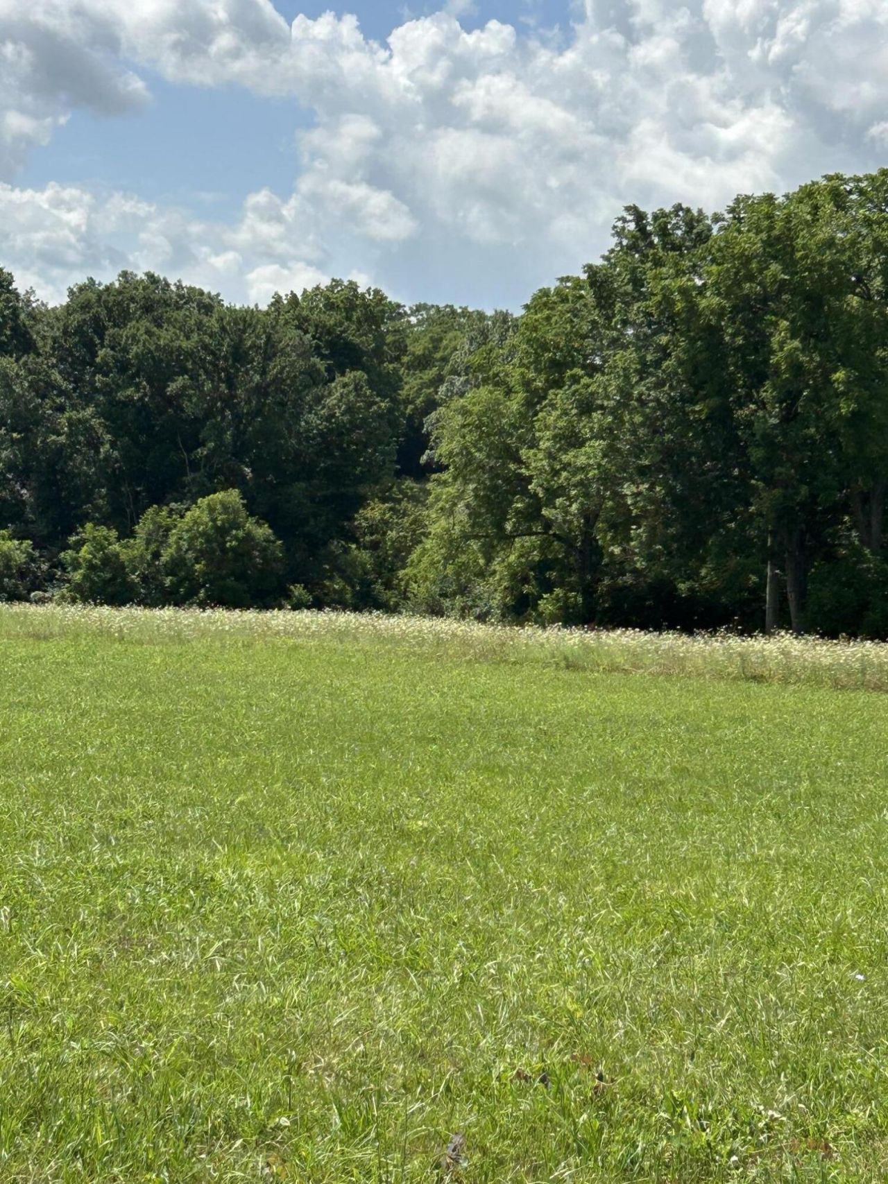 Lucy Lane Lot 3 Lucy Lane, Cynthiana, KY 41031 Main Photo