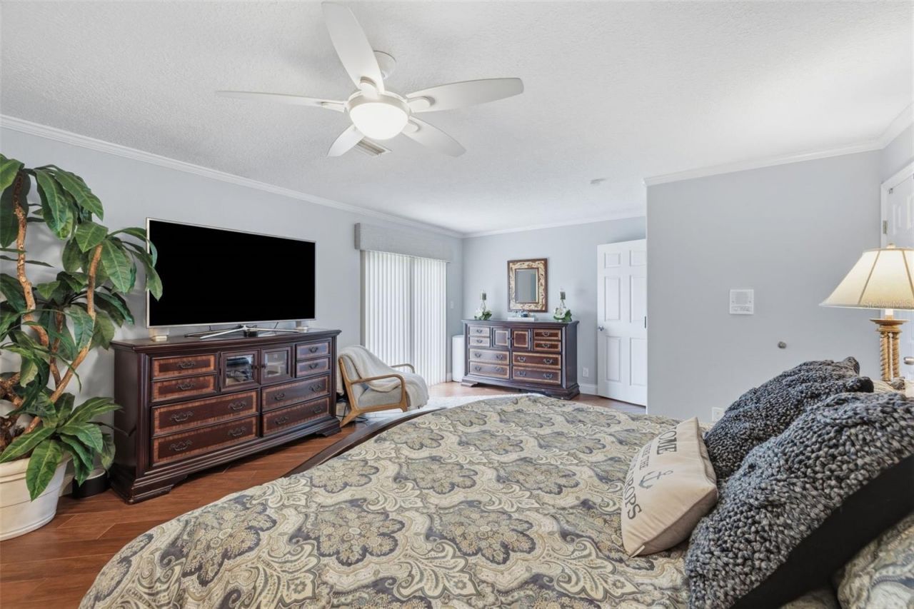176 Maple Avenue, Palm Harbor, FL 34684 Photo