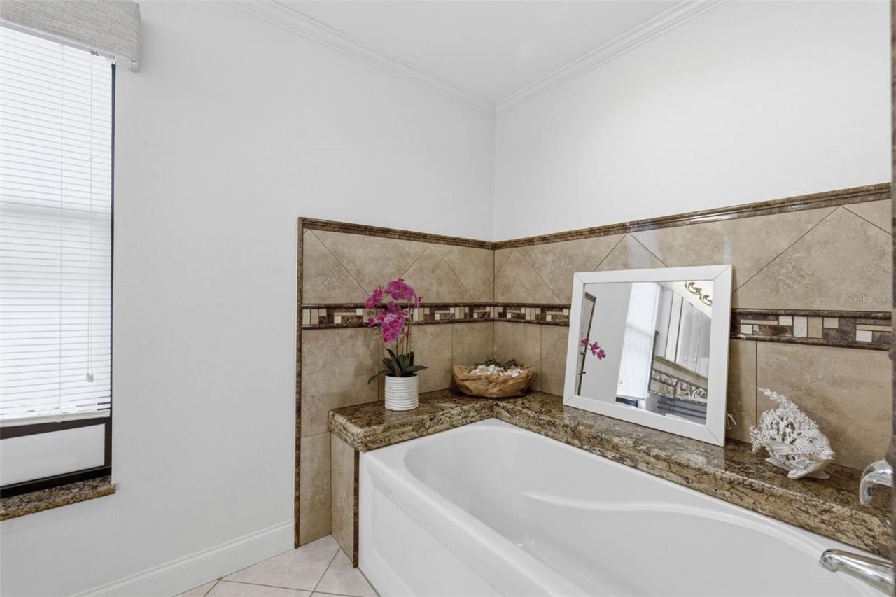 176 Maple Avenue, Palm Harbor, FL 34684 Photo