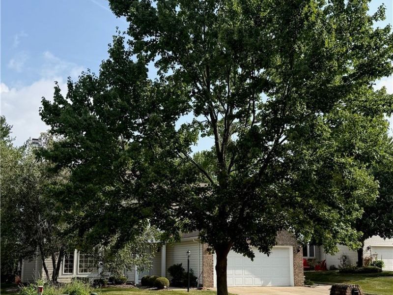 17806 Brandywine Drive, Strongsville, OH 44136 Photo 2