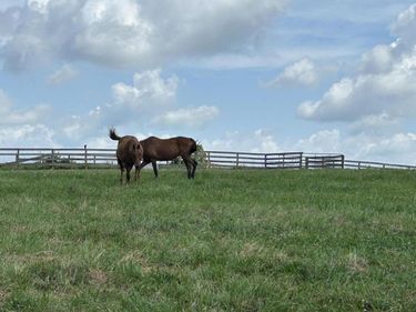 Lot #8 Lucy, Cynthiana, KY 41031
