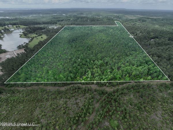 68 Acres Blue Wood Drive, Vancleave, MS 39565