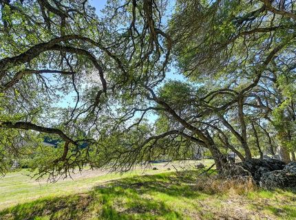 15225 De La Pena Cir, Rancho Murieta, CA 95683 Photo