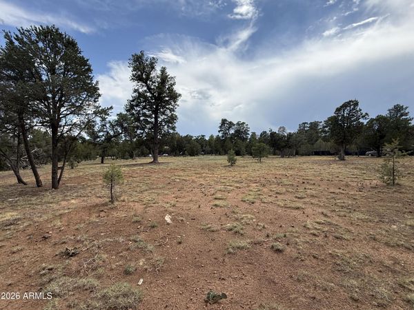 3048 CHEVELON Road, Unit 147, Overgaard, AZ 85933