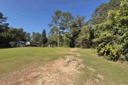 352 Birch Street photo 4