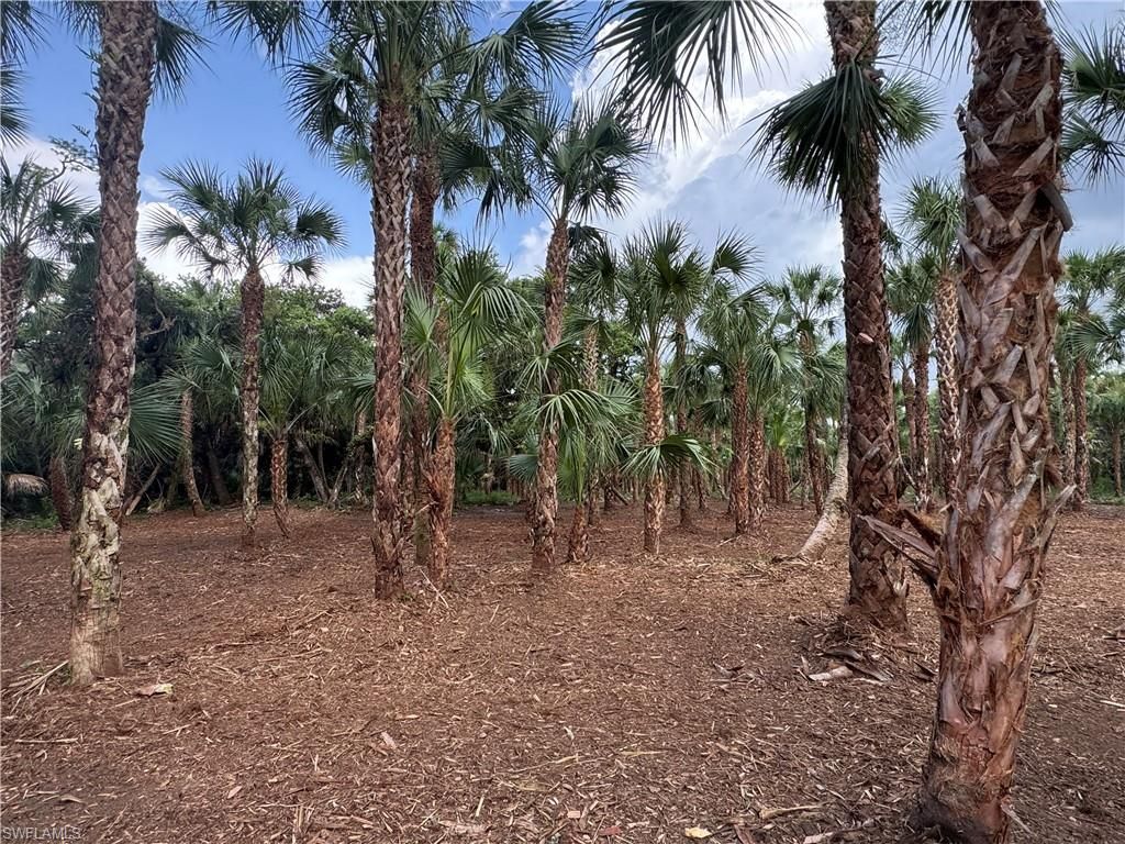 14th Ave Nw, Naples, FL 34120 Photo