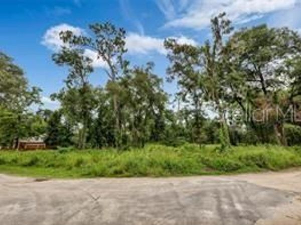 141 HOLLY STREET, APOPKA, FL 32712