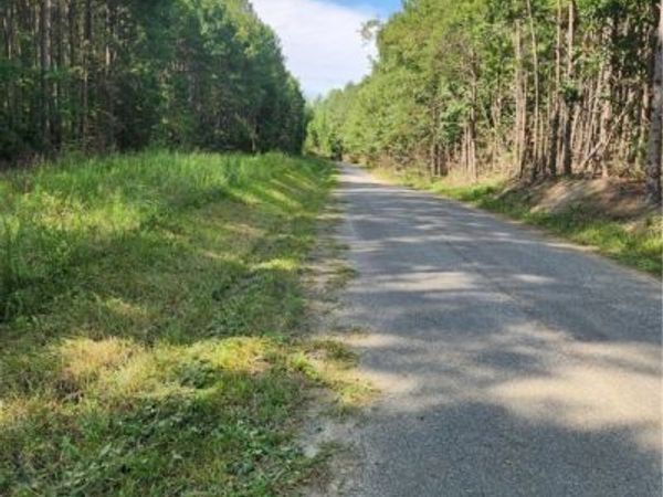 0 Ben Gayle Road , Beaverdam, VA 23015