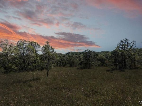 43 acres +/- Recreational/ Hunting Ground , Dittmer, MO 63023