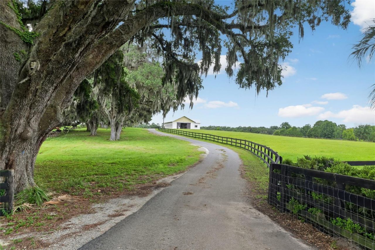 8544 NW 160th Avenue, Morriston, FL 32668 Photo