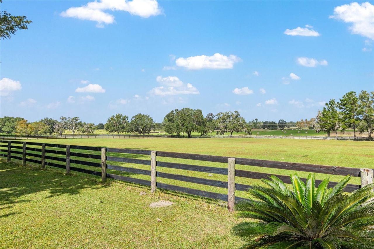 8544 NW 160th Avenue, Morriston, FL 32668 Photo