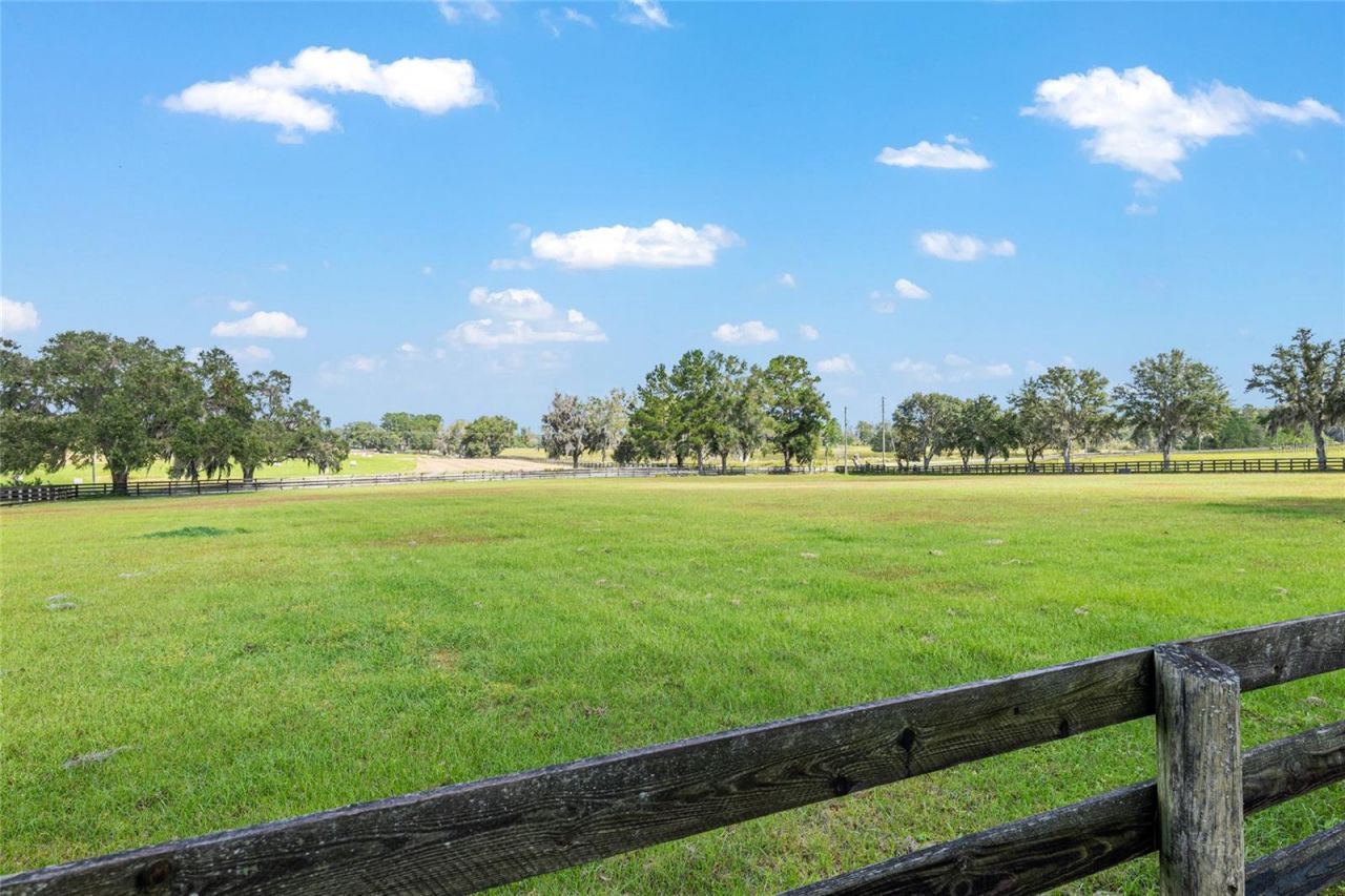 8544 NW 160th Avenue, Morriston, FL 32668 Photo