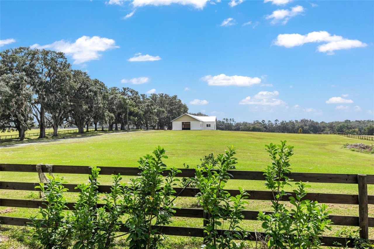 8544 NW 160th Avenue, Morriston, FL 32668 Photo