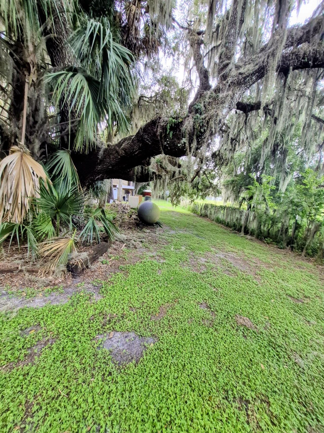 70 Tin House Cove Road, Lorida, FL 33857 Photo