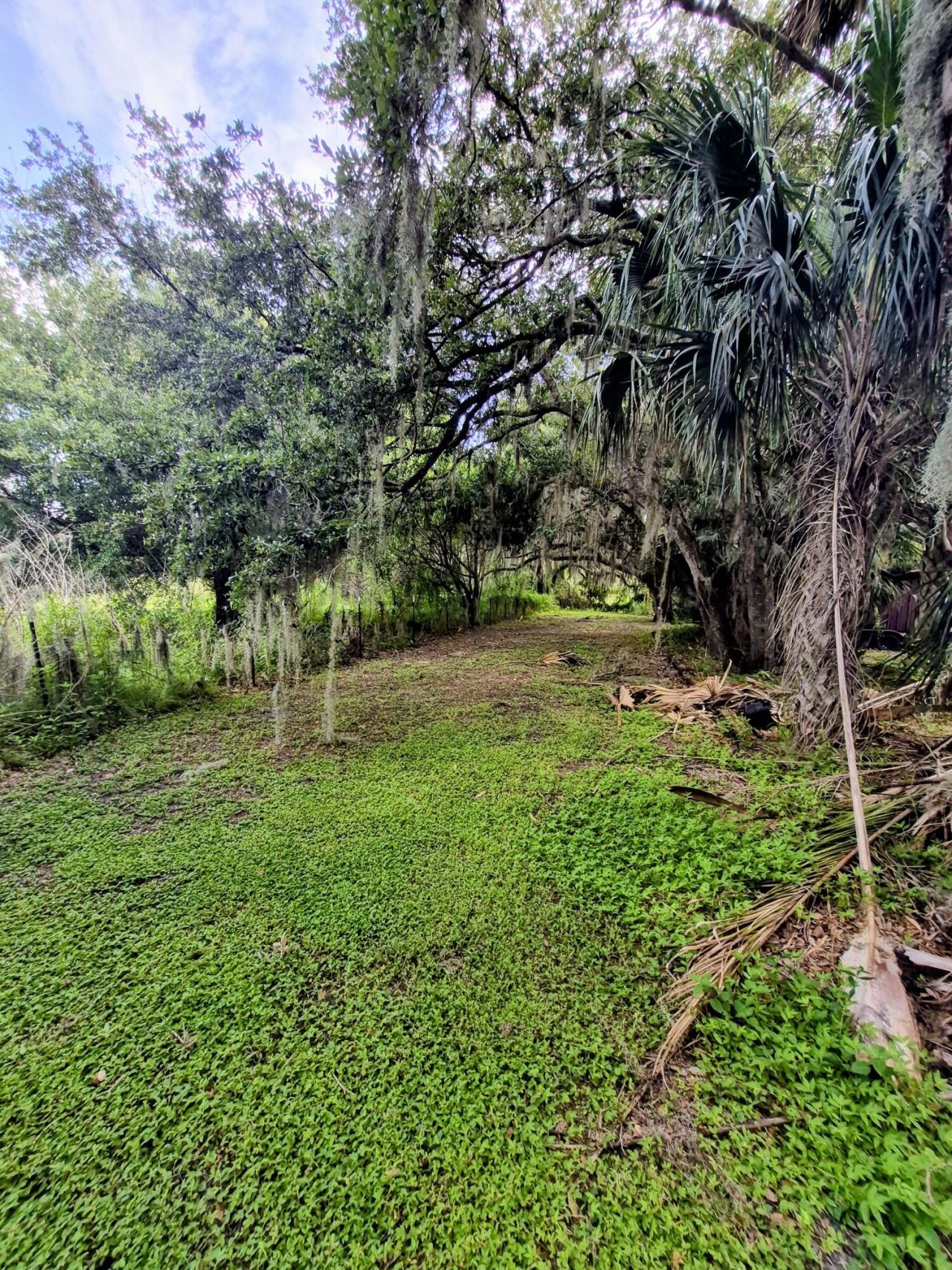 70 Tin House Cove Road, Lorida, FL 33857 Photo