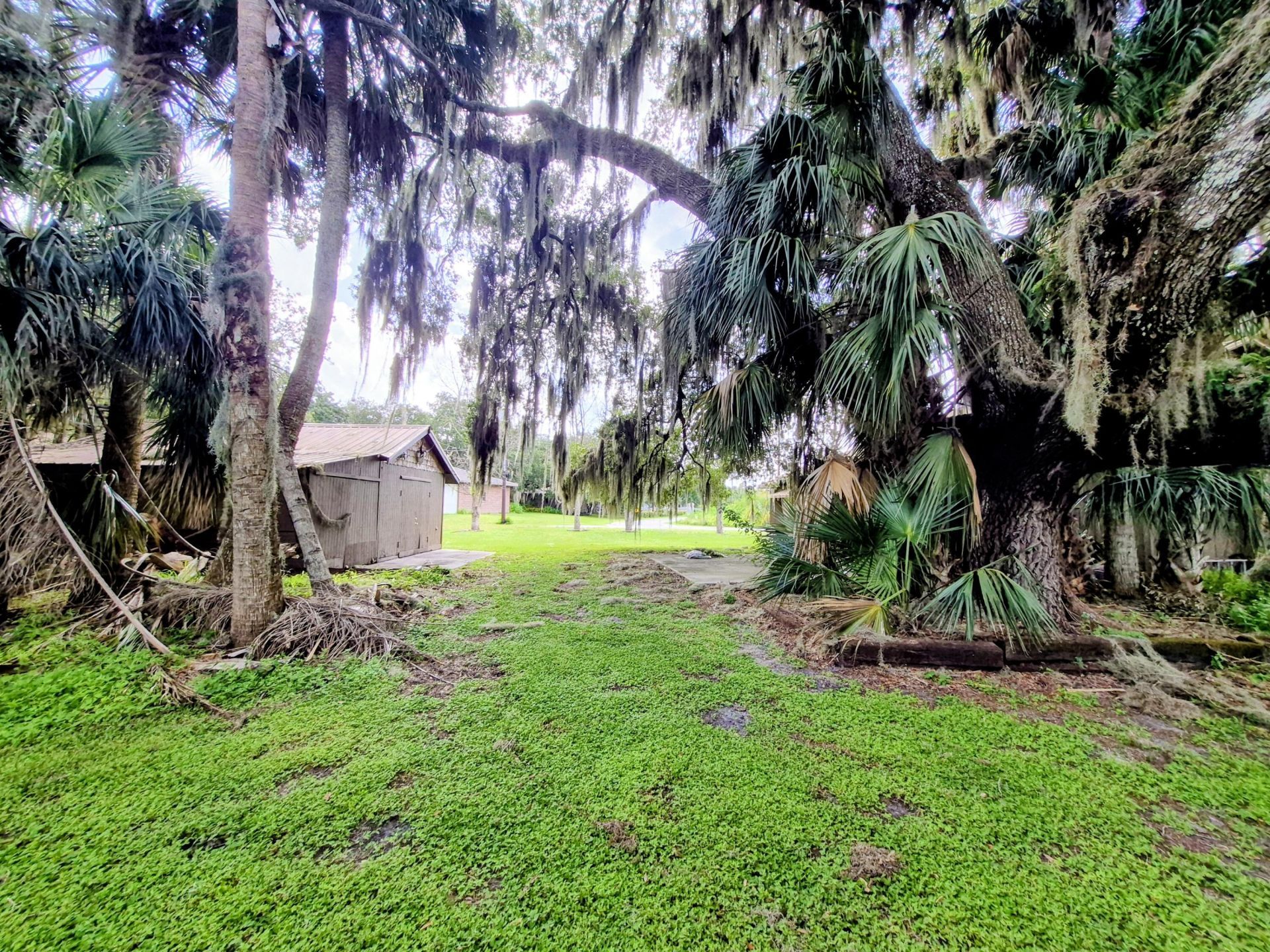 70 Tin House Cove Road, Lorida, FL 33857 Photo
