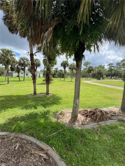 2875 18th Ave Se, Naples, FL 34117 Photo