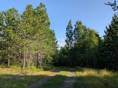 Lot A Hwy. 24 , Orr, MN 55771