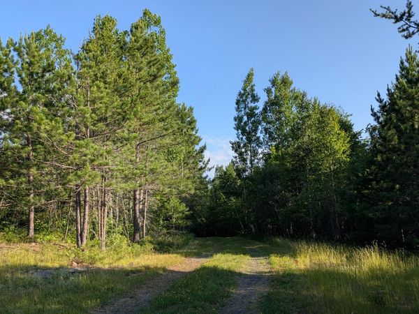 Lot A Hwy. 24 , Orr, MN 55771