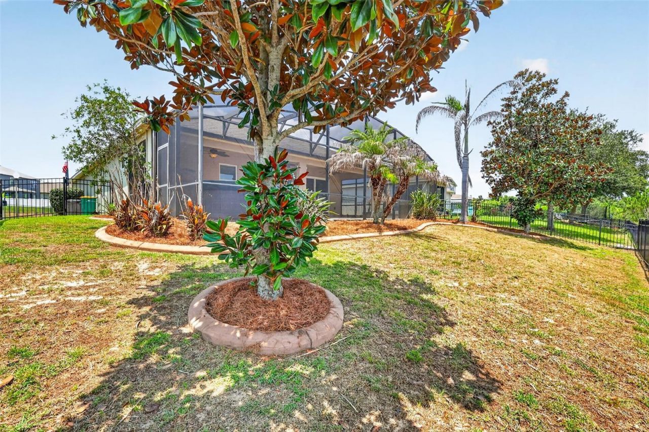 3115 Zander Drive, Grand Island, FL 32735 Photo