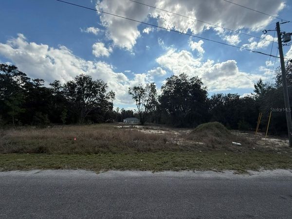 26 FISHER WAY TRAIL , OCKLAWAHA, FL 32179