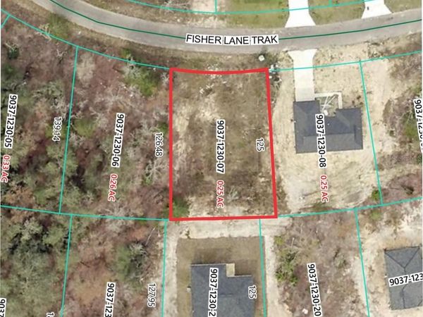41 FISHER LANE TRACK , OCKLAWAHA, FL 32179