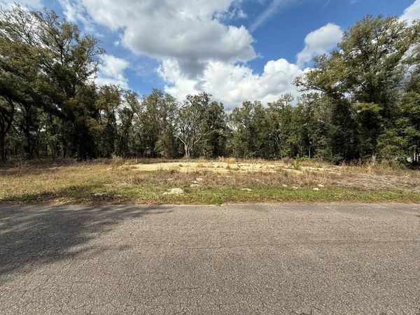 5 FISHER LANE COURSE , OCKLAWAHA, FL 32179
