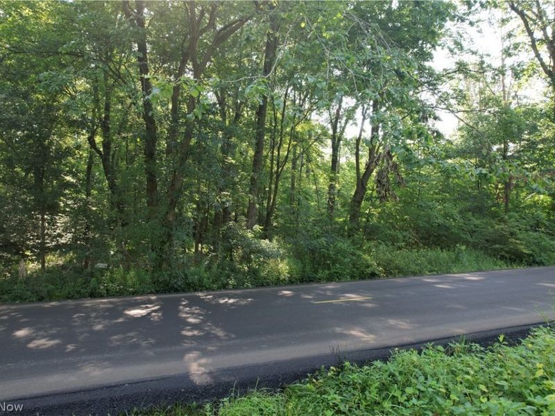 N Mahoning Portage County Lin Road, Lake Milton, OH 44412 Photo 1