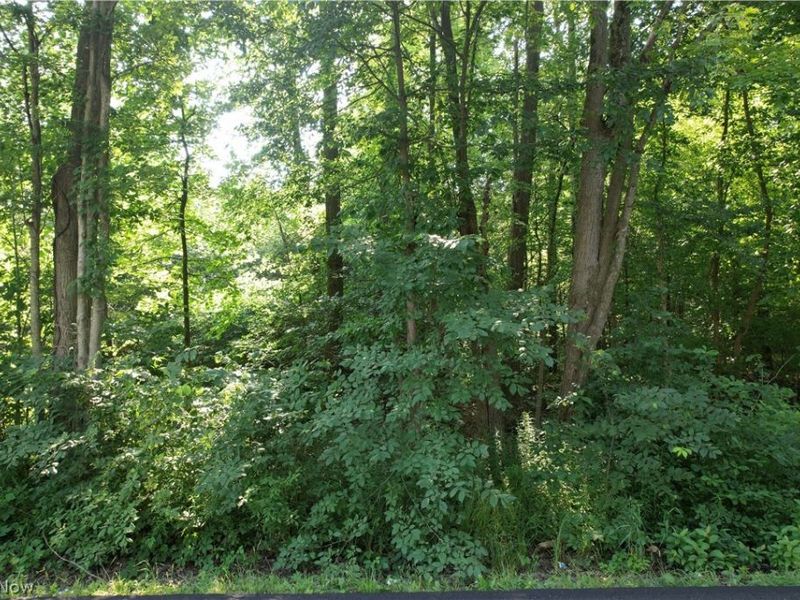 N Mahoning Portage County Lin Road, Lake Milton, OH 44412 Photo 10