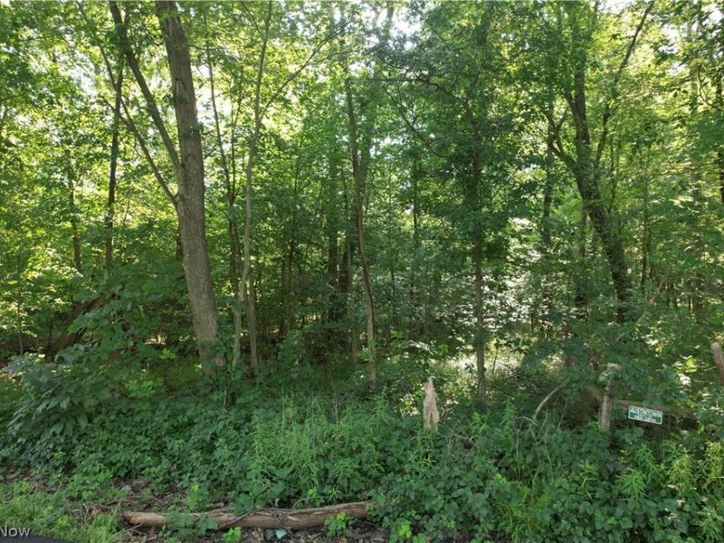 N Mahoning Portage County Lin Road, Lake Milton, OH 44412 Photo 11
