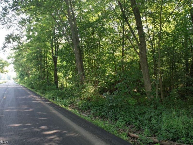 N Mahoning Portage County Lin Road, Lake Milton, OH 44412 Photo 12