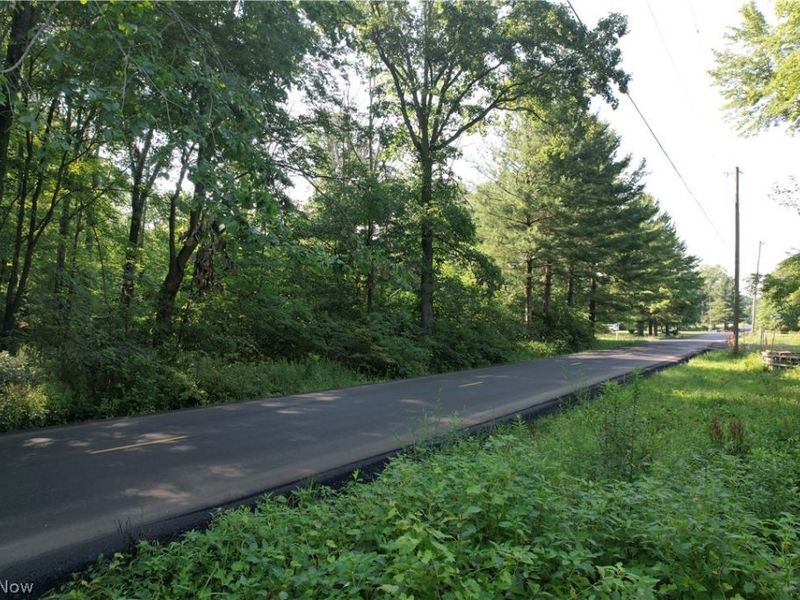 N Mahoning Portage County Lin Road, Lake Milton, OH 44412 Photo 14