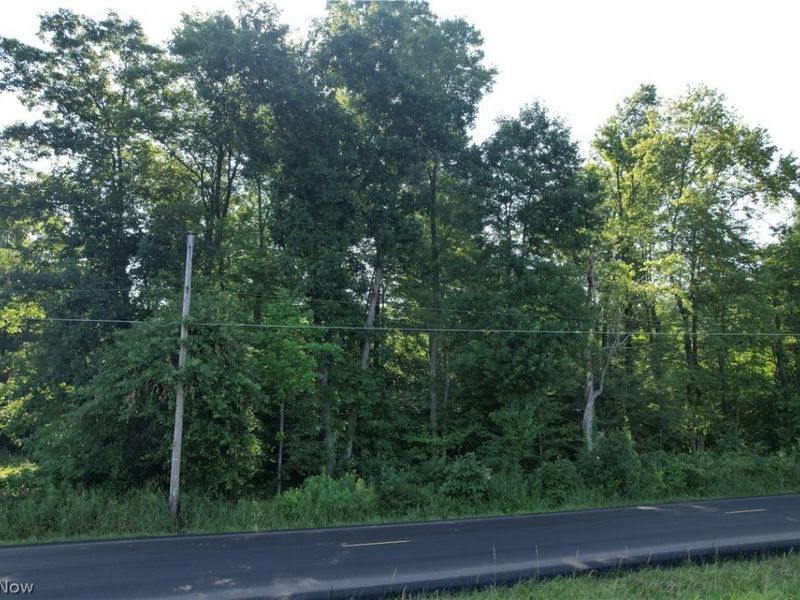 N Mahoning Portage County Lin Road, Lake Milton, OH 44412 Photo 4