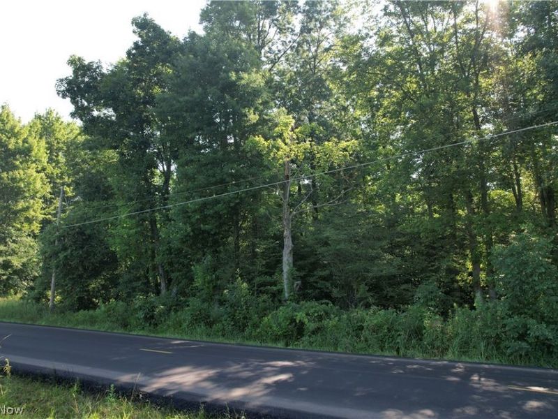 N Mahoning Portage County Lin Road, Lake Milton, OH 44412 Photo 5