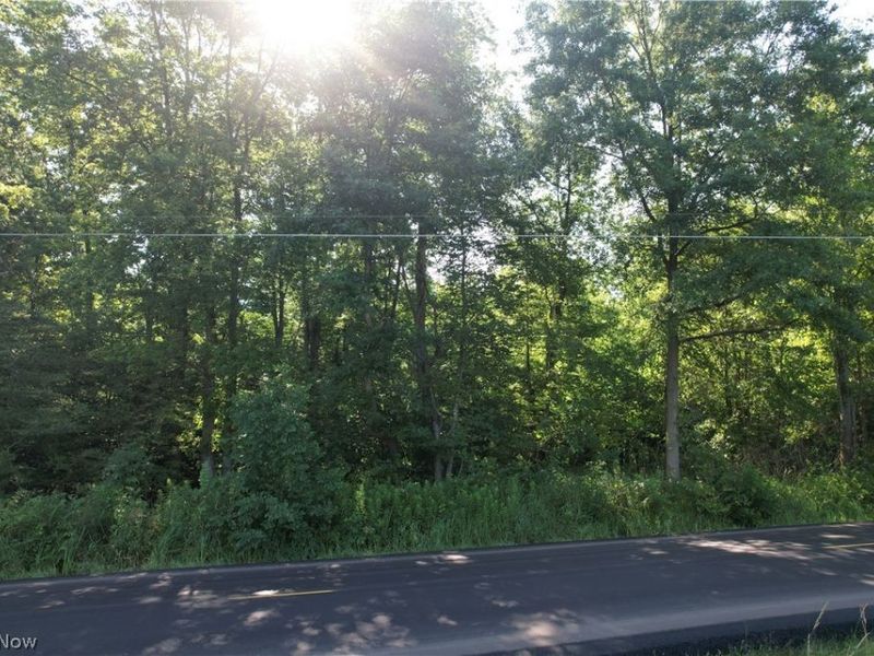 N Mahoning Portage County Lin Road, Lake Milton, OH 44412 Photo 6