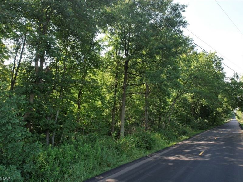 N Mahoning Portage County Lin Road, Lake Milton, OH 44412 Photo 8