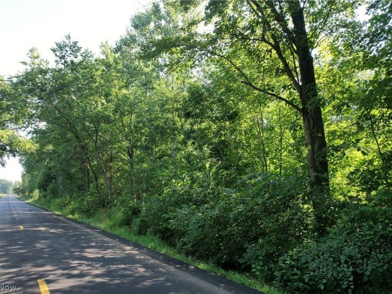 N Mahoning Portage County Lin Road, Lake Milton, OH 44412 Photo 9