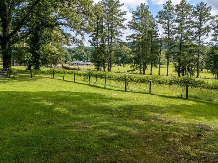 Property Image 53
