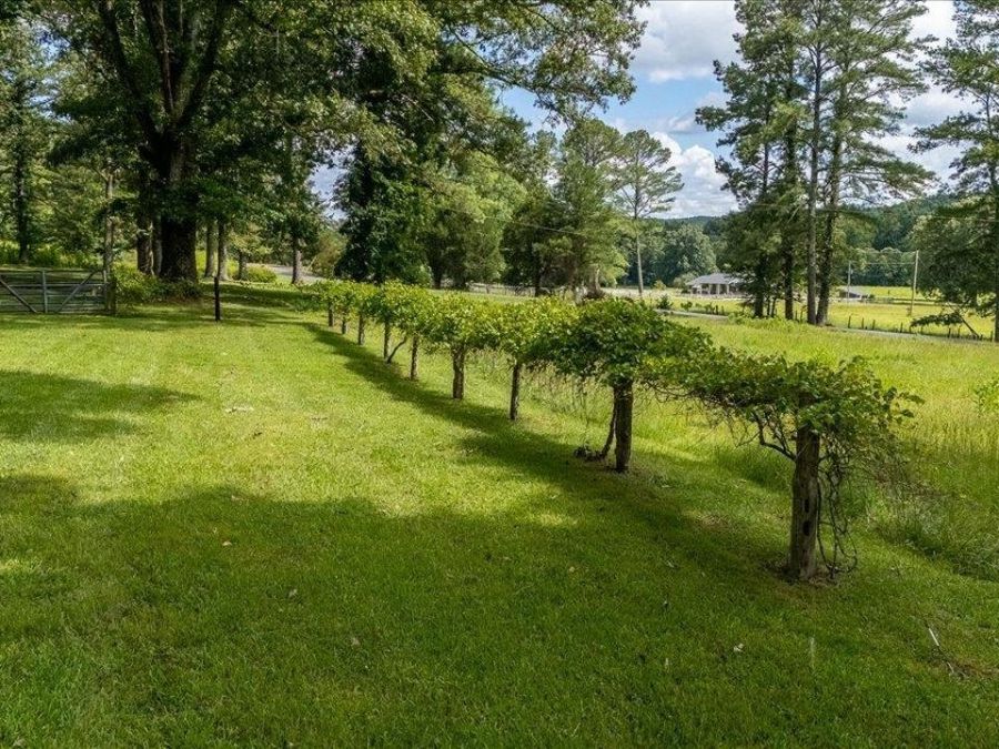Property Image 54