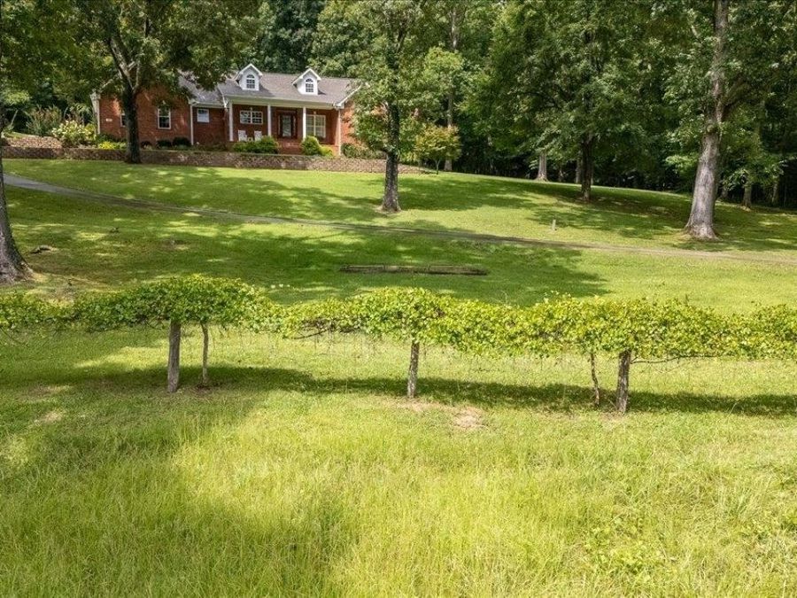 Property Image 55