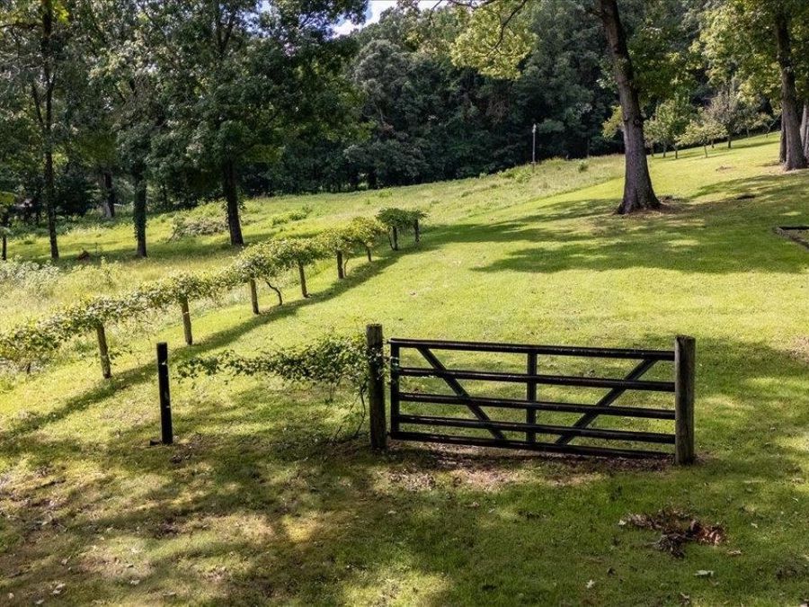 Property Image 71
