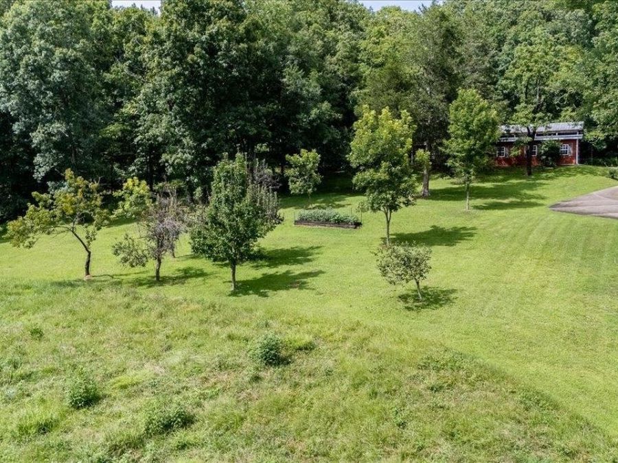 Property Image 75