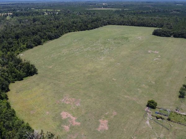 TBD TBD HOGAN ROAD, Wellborn, FL 32094