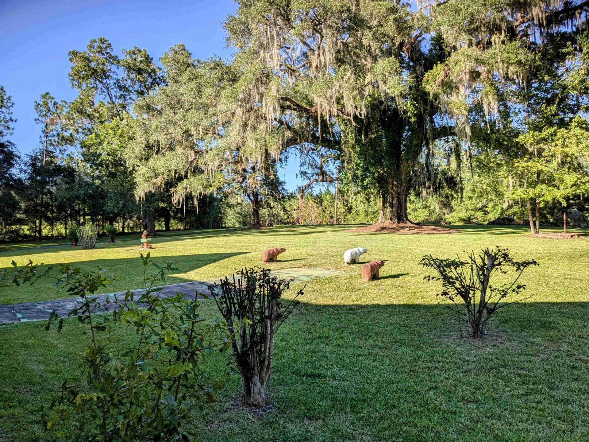 6801 NW Lovett Road , Greenville, FL 32331 Photo