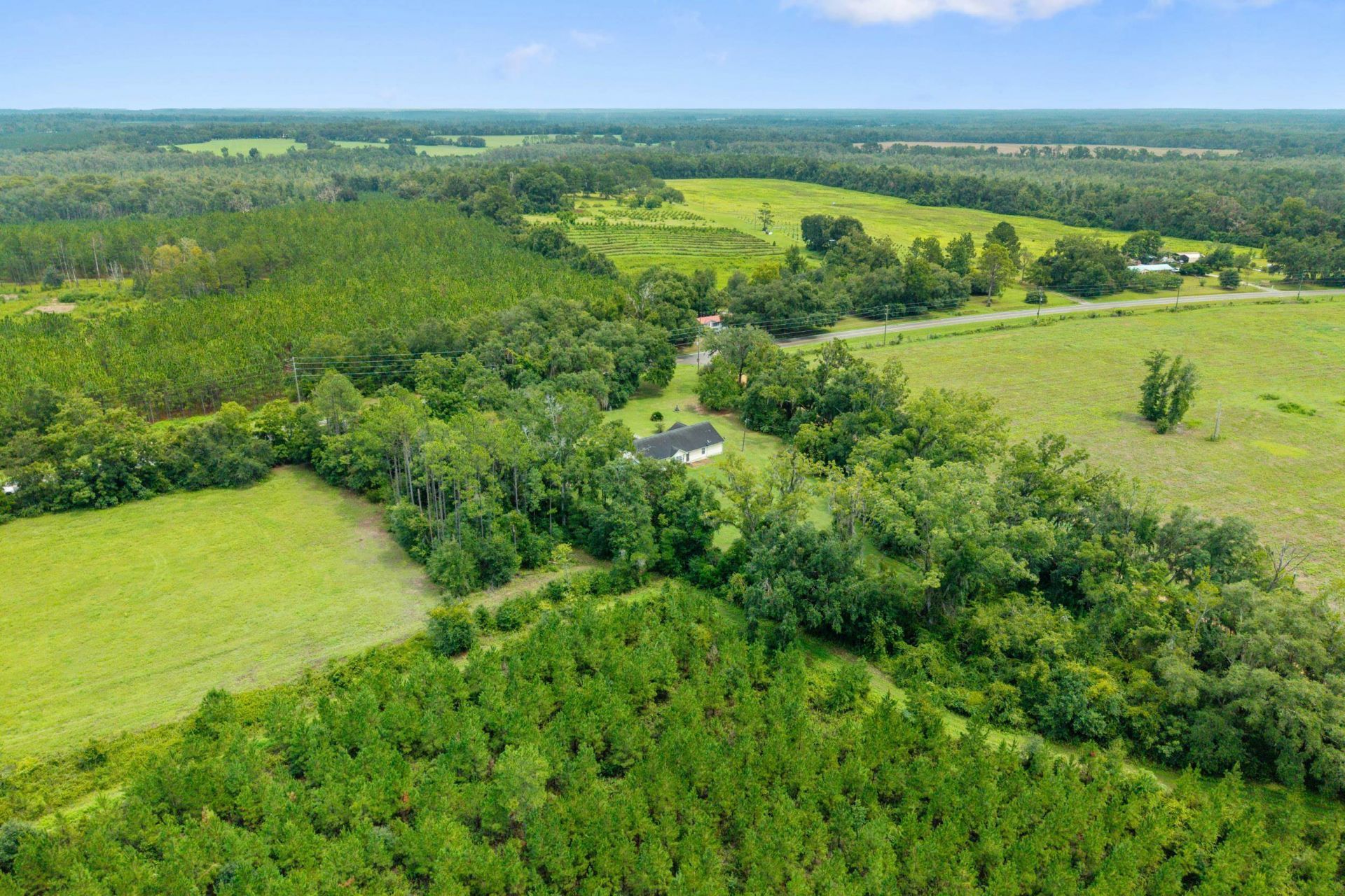 6801 NW Lovett Road, Greenville, FL 32331 Photo