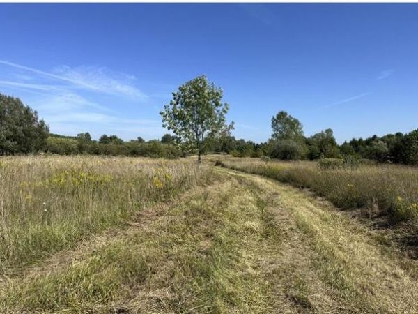 Rolling Hills Drive, Fennville, MI 49408