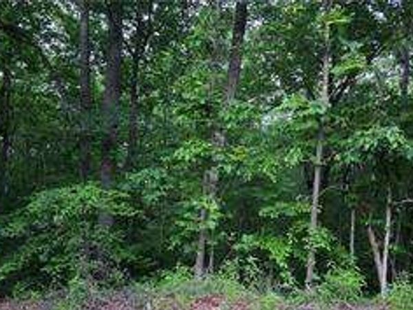 0 Old Mckaskey Creek Road SE, Cartersville, GA 30121