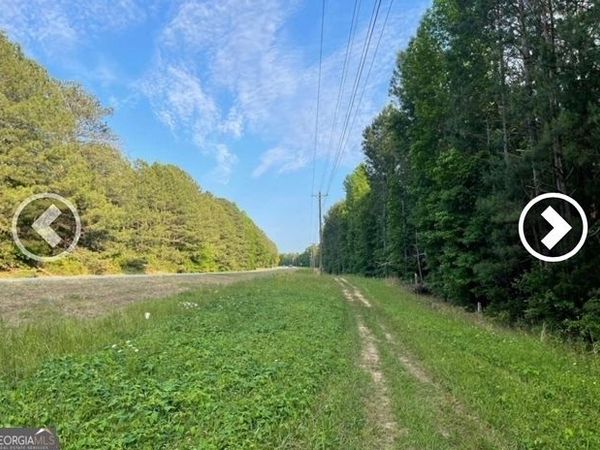 0 Pickett Bridge Road, Covington, GA 30015