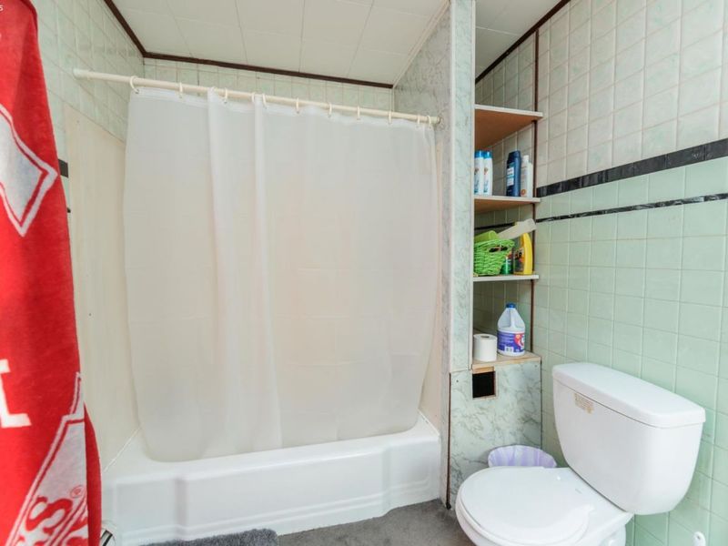 118 Hickory Street, Bellevue, OH 44811 Photo 31