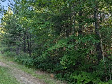 Lot B Hwy. 24 , Orr, MN 55771